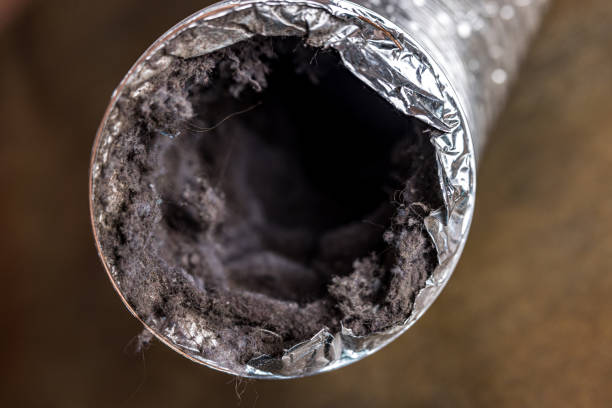 Best Air Duct Mold Removal  in Jefferson, WI