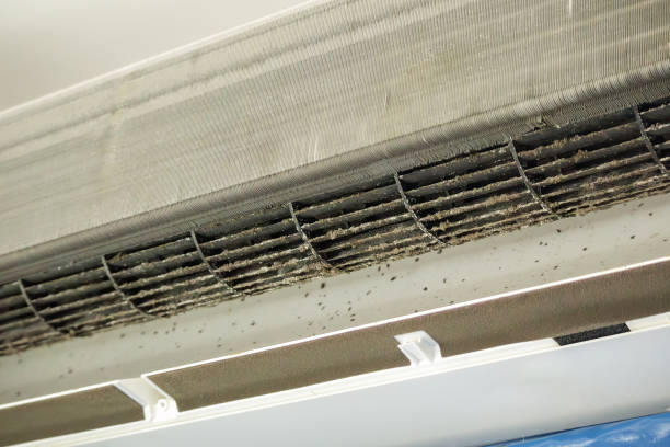 Best Affordable Air Duct Cleaning  in Jefferson, WI